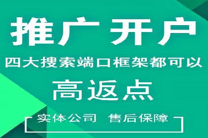 百度推广效果监测与持续优化的真实案例
